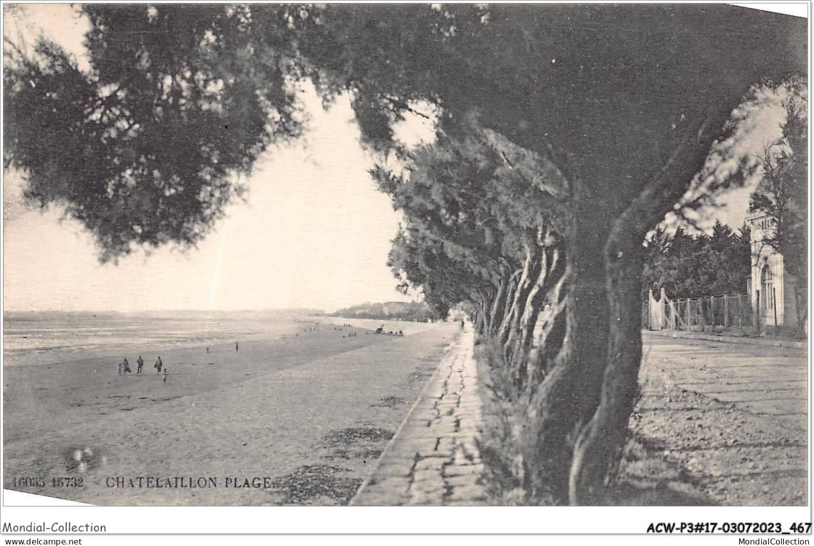 ACWP3-17-0236 - CHATELAILLON PLAGE - Châtelaillon-Plage