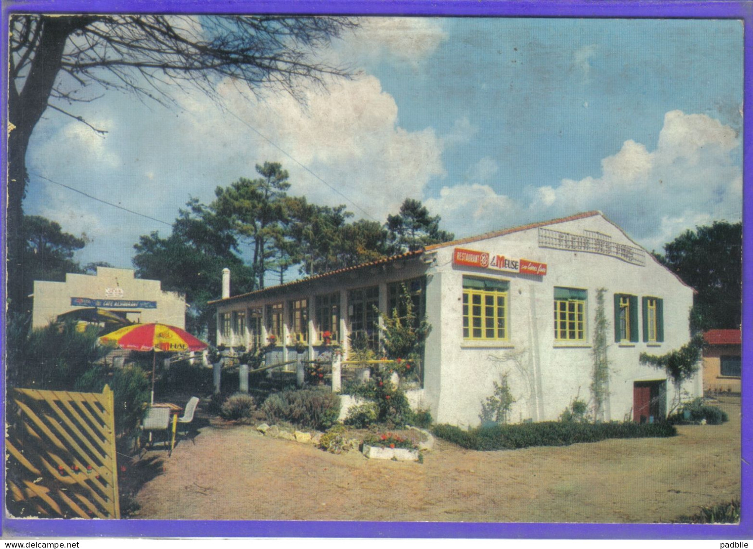 Carte Postale 17. Île D'Oléron La Gautrelle Hôtel Fleur Des Pins   Très Beau Plan - Ile D'Oléron