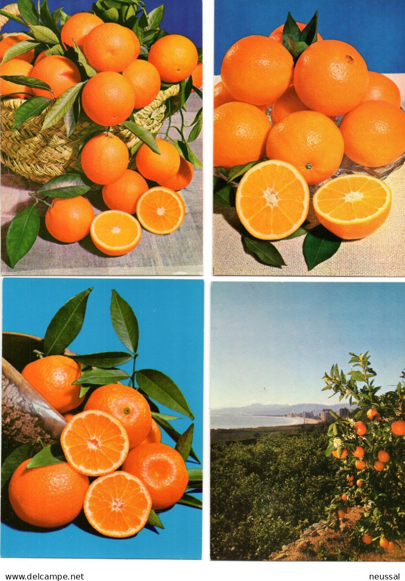Lote De 11 Postales De  Naranjas Alguna Con Viñeta. - Lettres & Documents