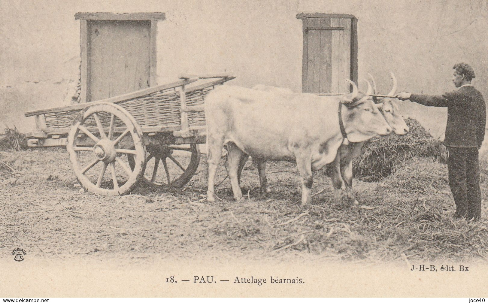 PAU - Attelage Béarnais - Rare - Autres & Non Classés