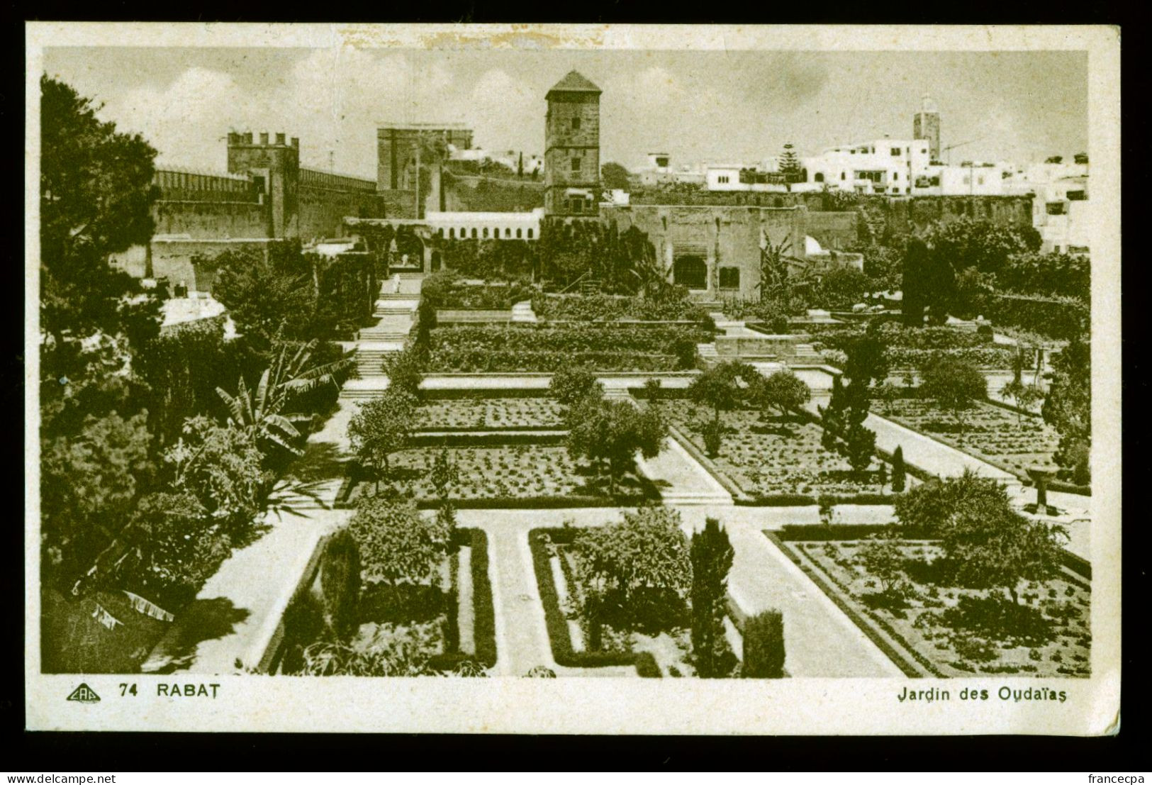 1069 - MAROC - RABAT - Jardin Des Oudaïas - Rabat