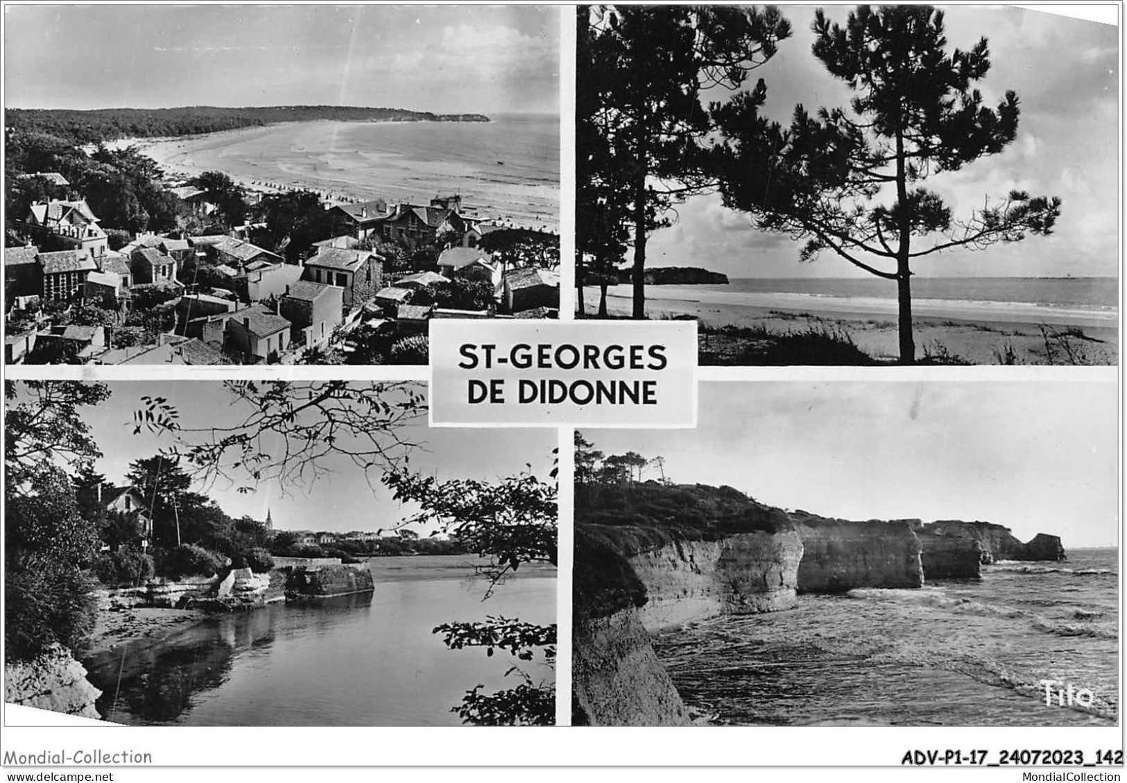 ADVP1-17-0072 - ST-GEORGE-DE-DIDONNE - Vue Générale - La Plage De Suzac - La Corniche - Le Pointe De Suzac  - Saint-Georges-de-Didonne