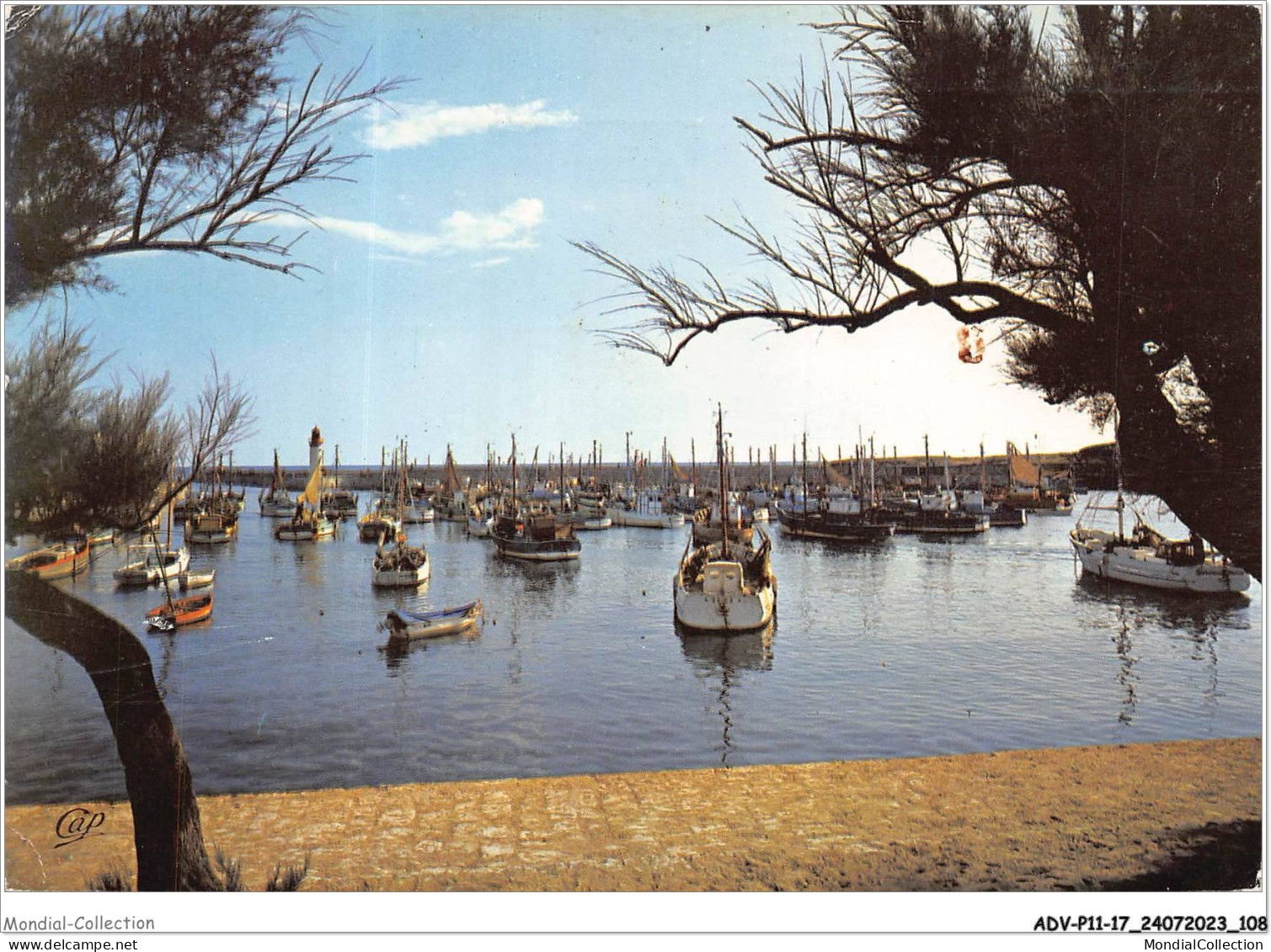 ADVP11-17-0906 - LA COTINIERE - ILE D'OLERON - Le Port  - Ile D'Oléron