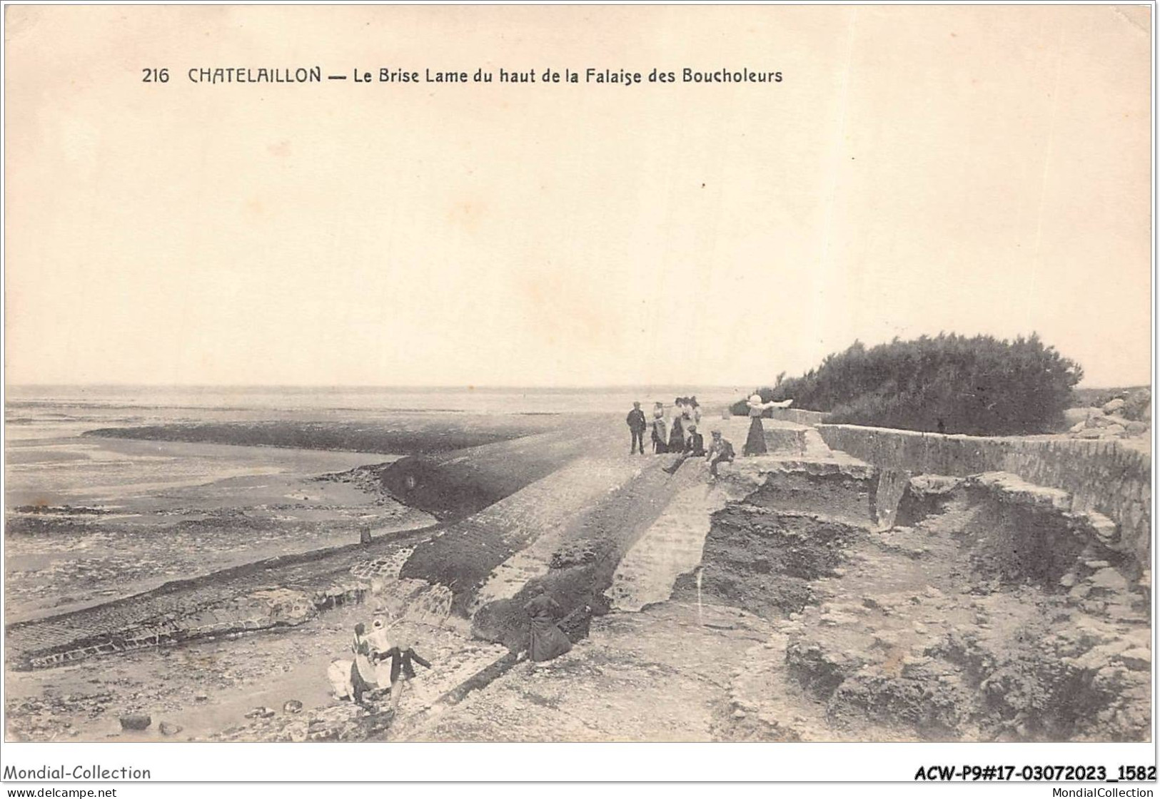 ACWP9-17-0797 - CHATELAILLON - La Brise Lame Du Haut De La Falaise Des Boucholeurs  - Châtelaillon-Plage