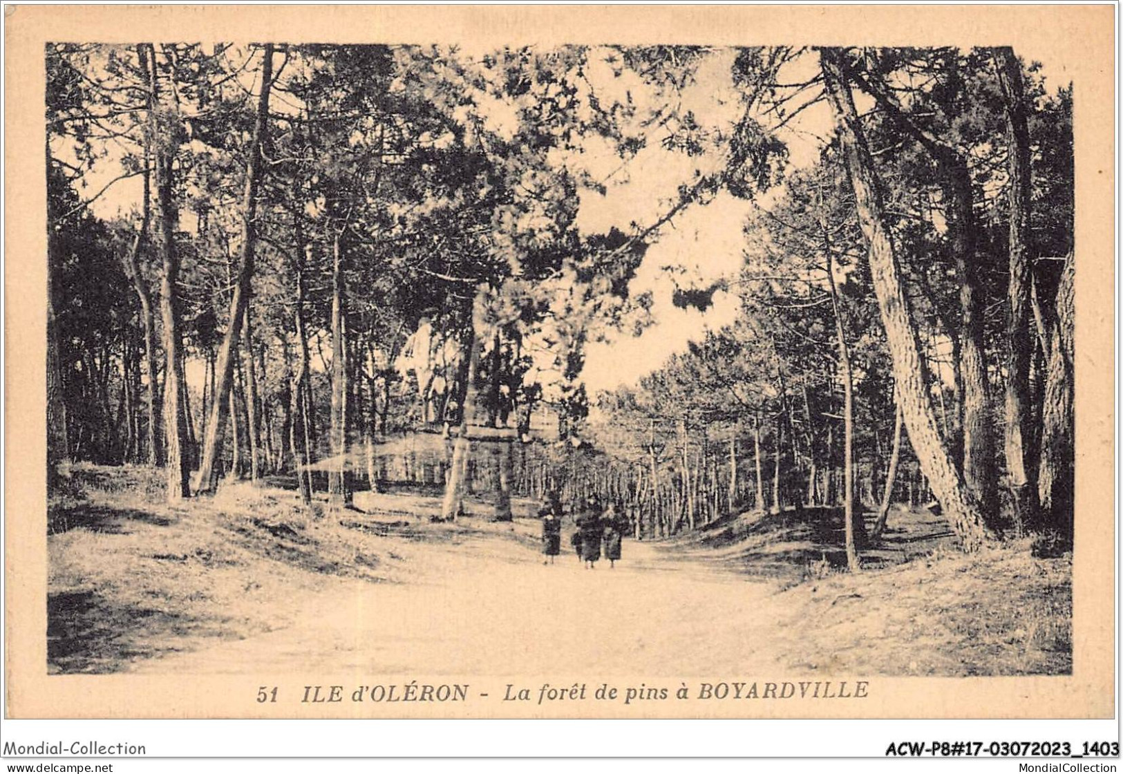 ACWP8-17-0707 - BOYARDVILLE - La Forêt  De Pins - Ile D'Oléron