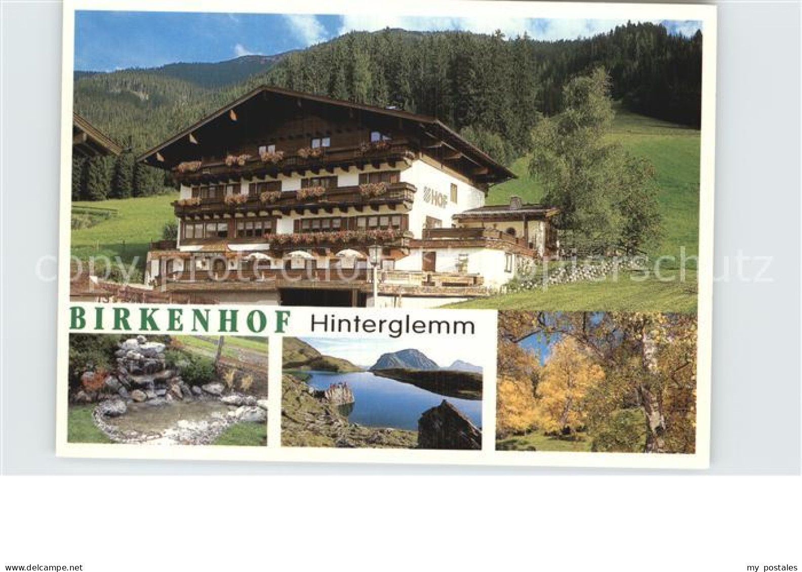 72581255 Hinterglemm Saalbach Birkenhof Waldpartie Bergsee Quelle Saalbach Hinte - Autres & Non Classés