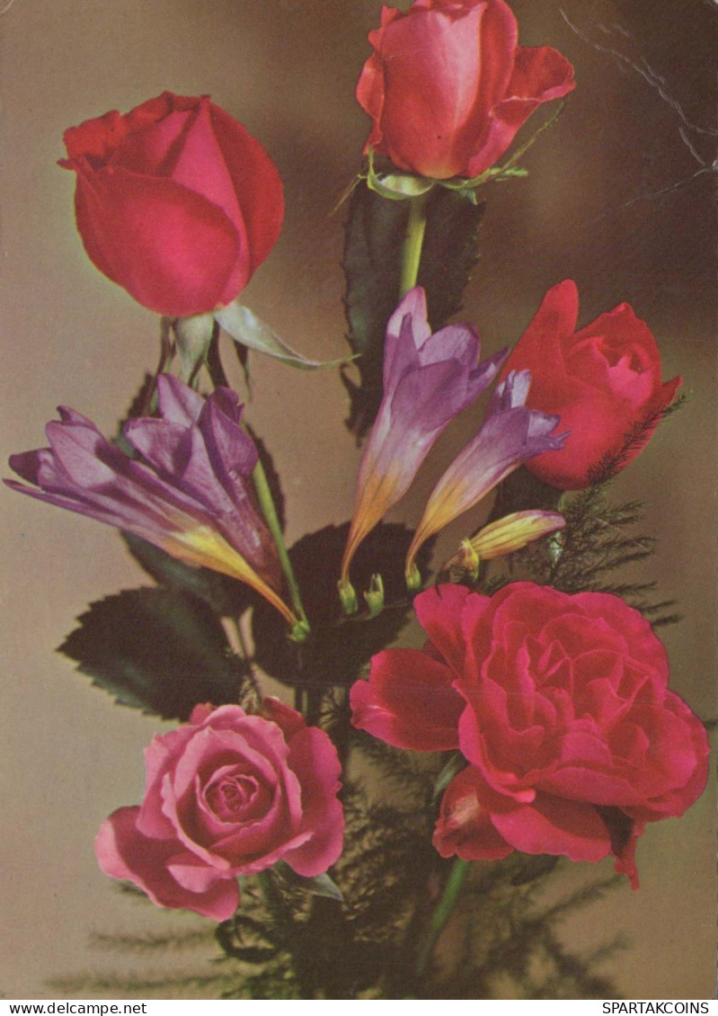 FLOWERS Vintage Postcard CPSM #PAS597.GB - Blumen