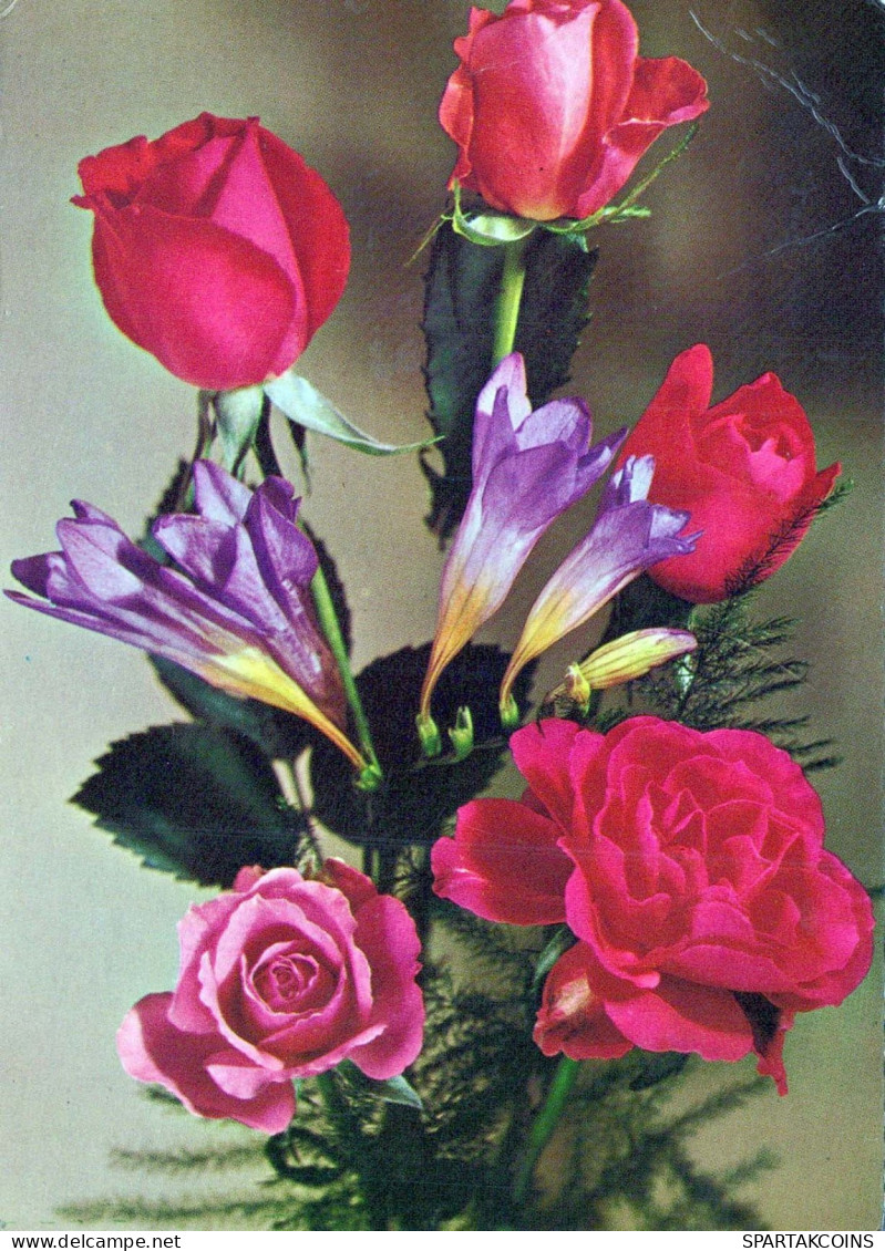 FLOWERS Vintage Postcard CPSM #PAS597.GB - Blumen