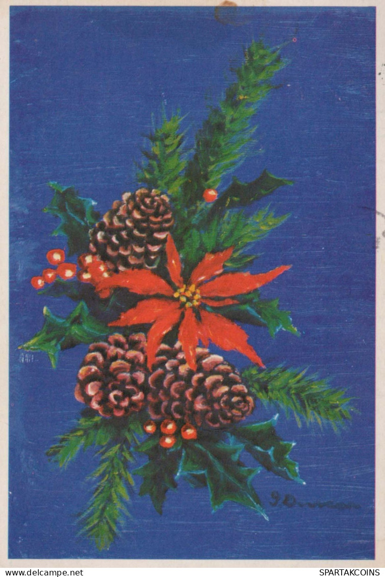 FLOWERS Vintage Postcard CPSM #PAS414.GB - Blumen