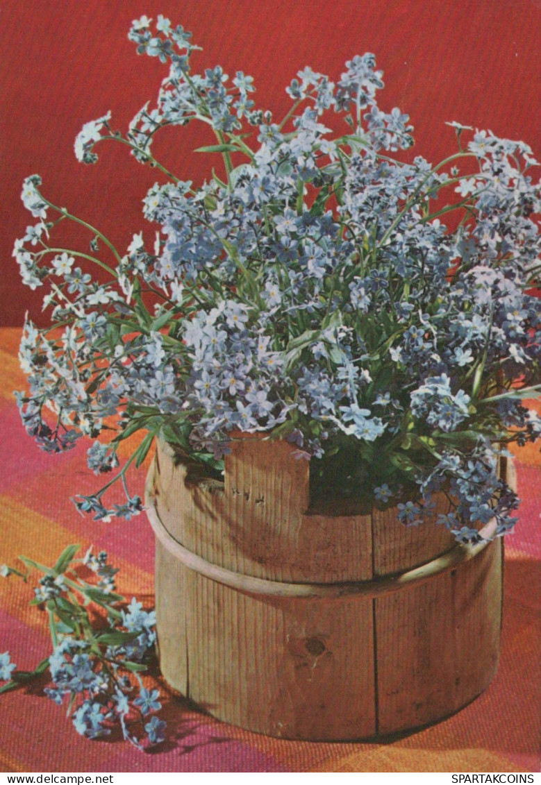 FLOWERS Vintage Postcard CPSM #PAR272.GB - Blumen