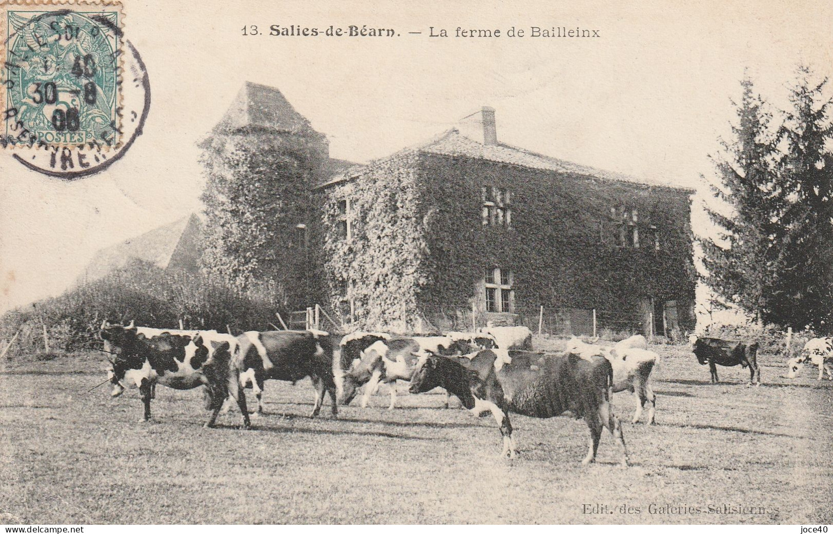 SALIES DE BEARN- Ferme De BAILLEUX - Paturage De Vaches-voyagée En 1906 - Autres & Non Classés