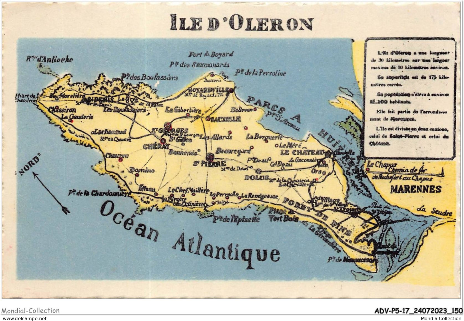 ADVP5-17-0439 - DOLUS - ILE D'OLERON - Cartographie  - Ile D'Oléron