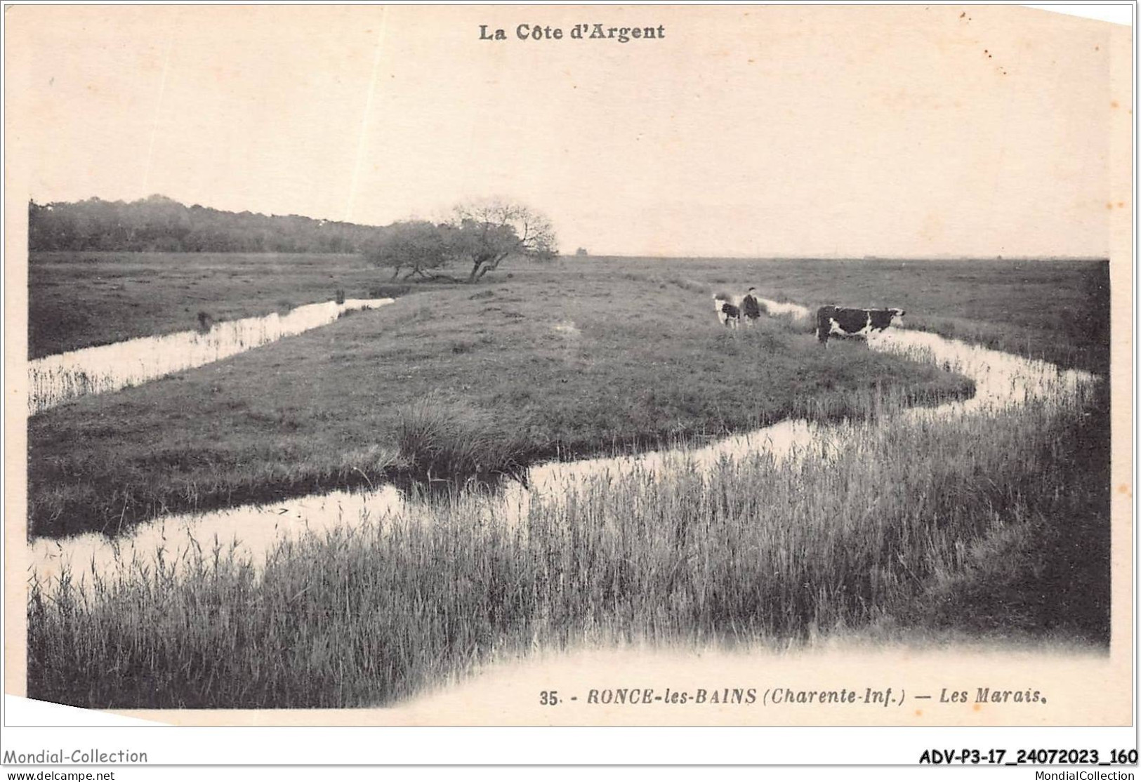 ADVP3-17-0267 - RONCE-LES-BAINS - Les Marais - La Côte D'argent  - Sonstige & Ohne Zuordnung