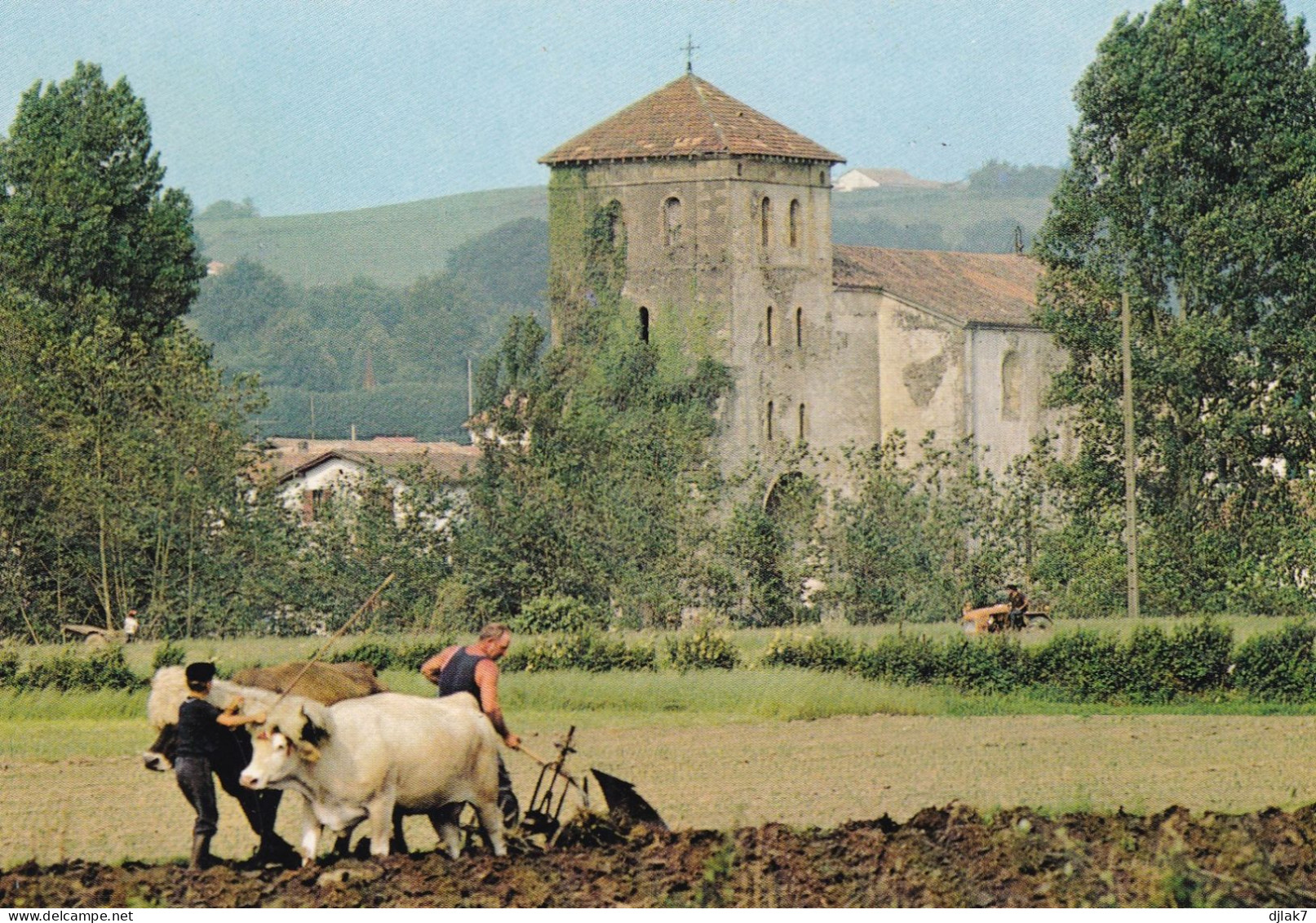 Pays Basque Aux Traditions Ancestrales - Landbouw