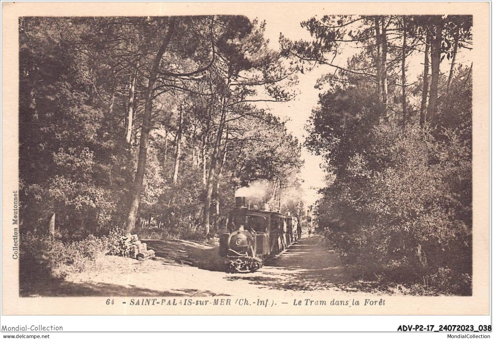 ADVP2-17-0113 - SAINT PALAIS-SUR-MER - Le Tram Dans La Forêt - Saint-Palais-sur-Mer