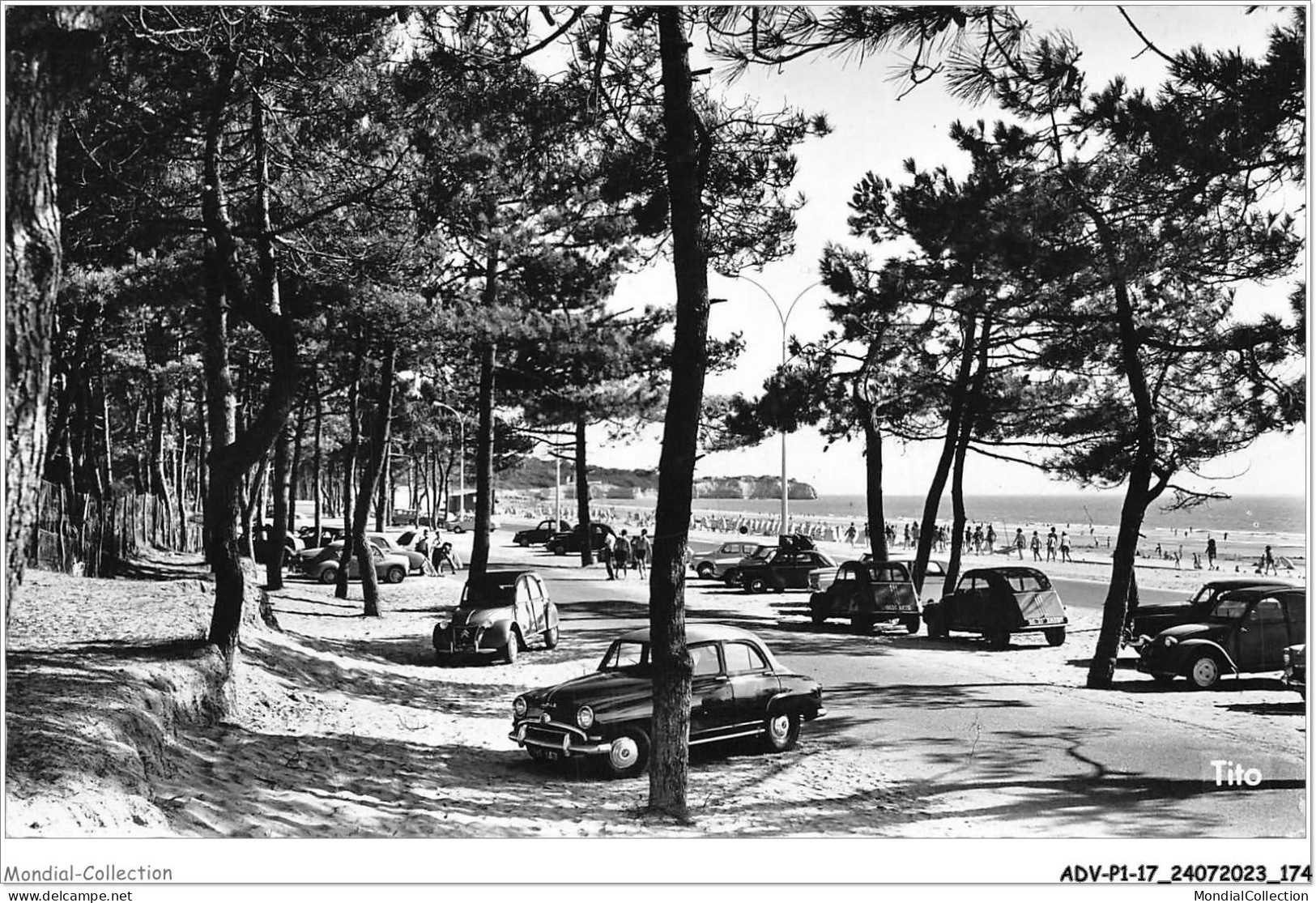 ADVP1-17-0088 - SAINT-GEORGES-DE-DIDONNE - Le Boulevard De La Côte De Beauè Et La Pointe De SUZAC - Saint-Georges-de-Didonne