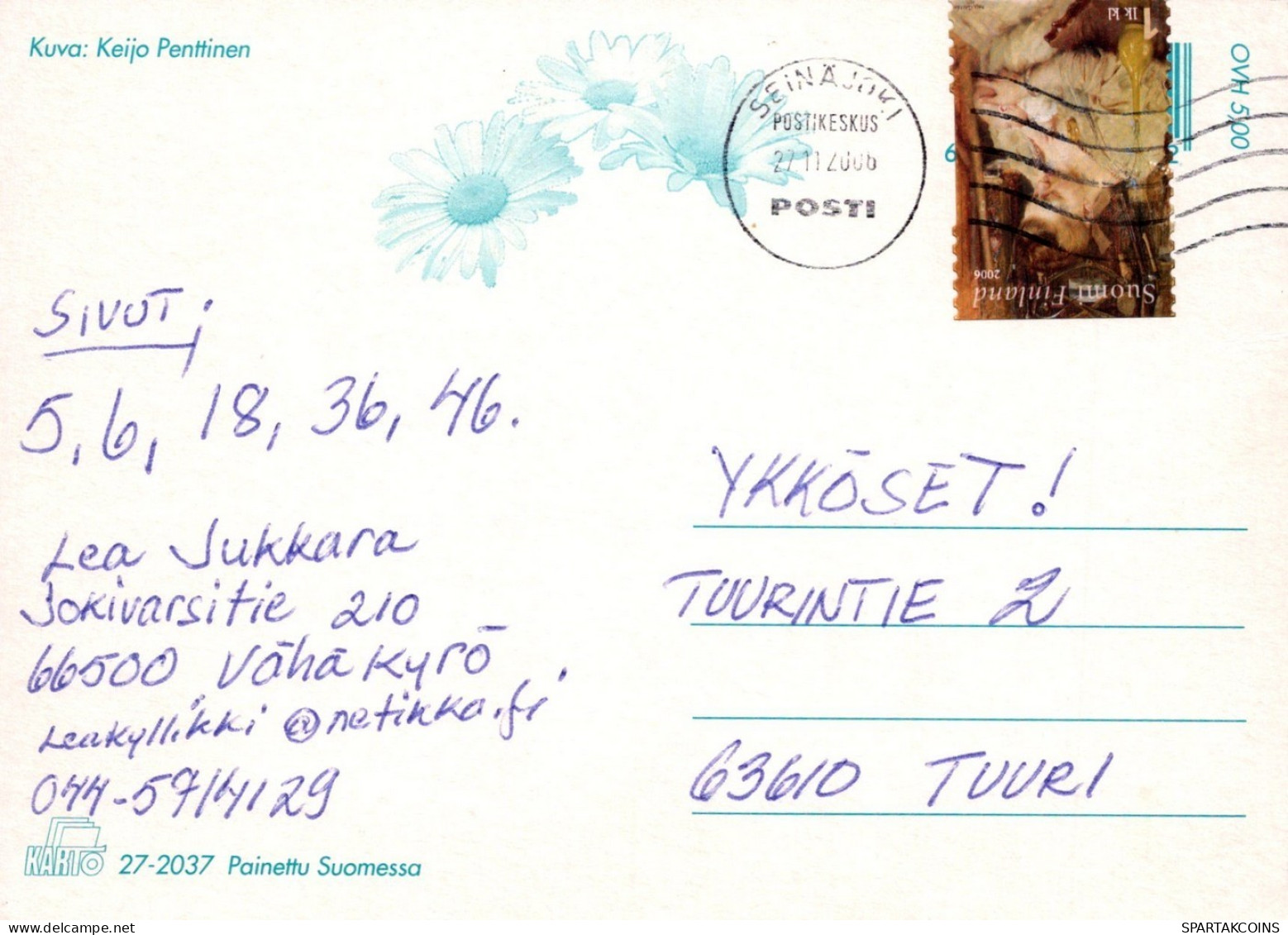 OISEAU Animaux Vintage Carte Postale CPSM #PAM702.FR - Vögel