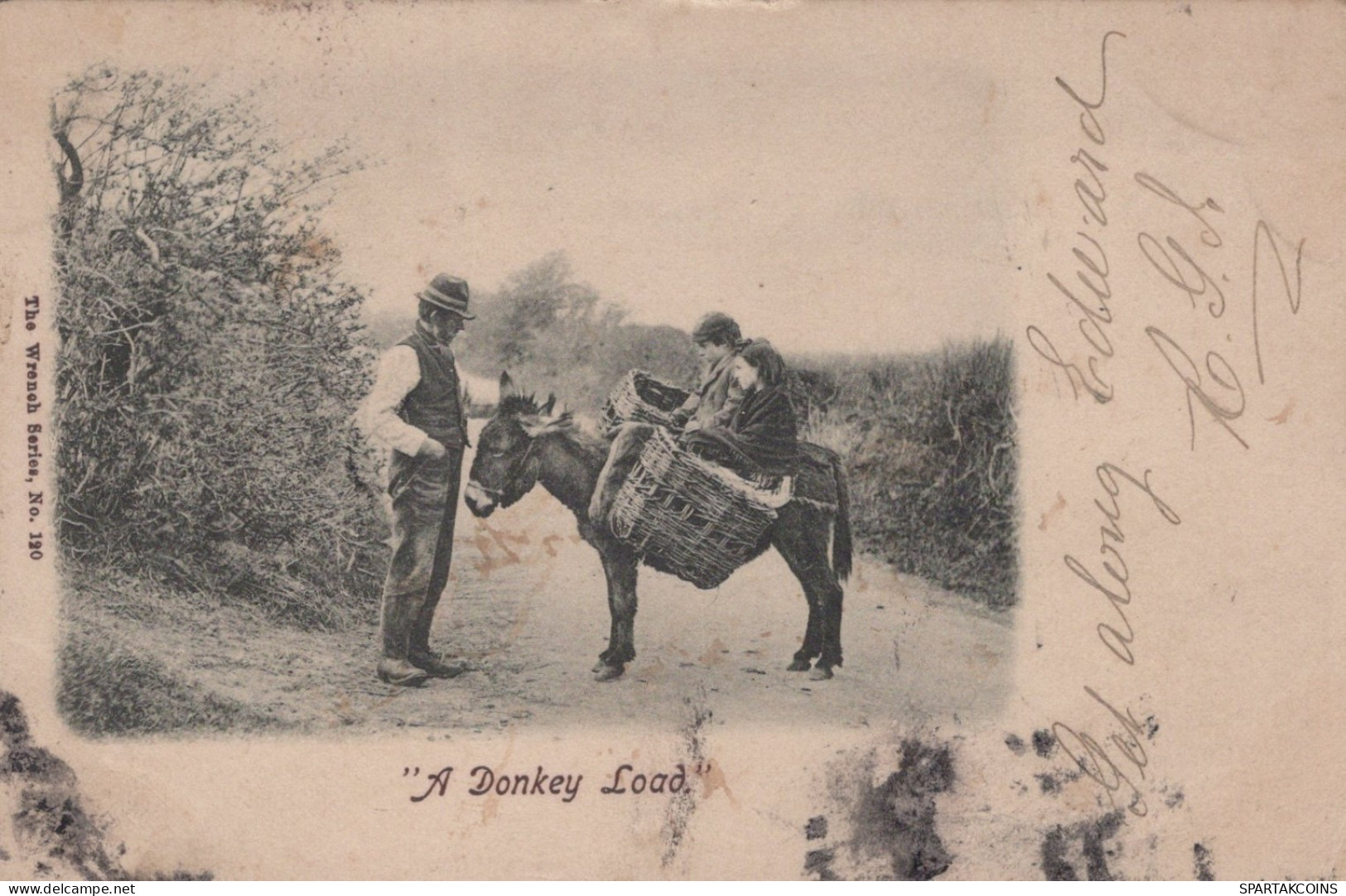 DONKEY Animals Children Vintage Antique Old CPA Postcard #PAA006.GB - Anes