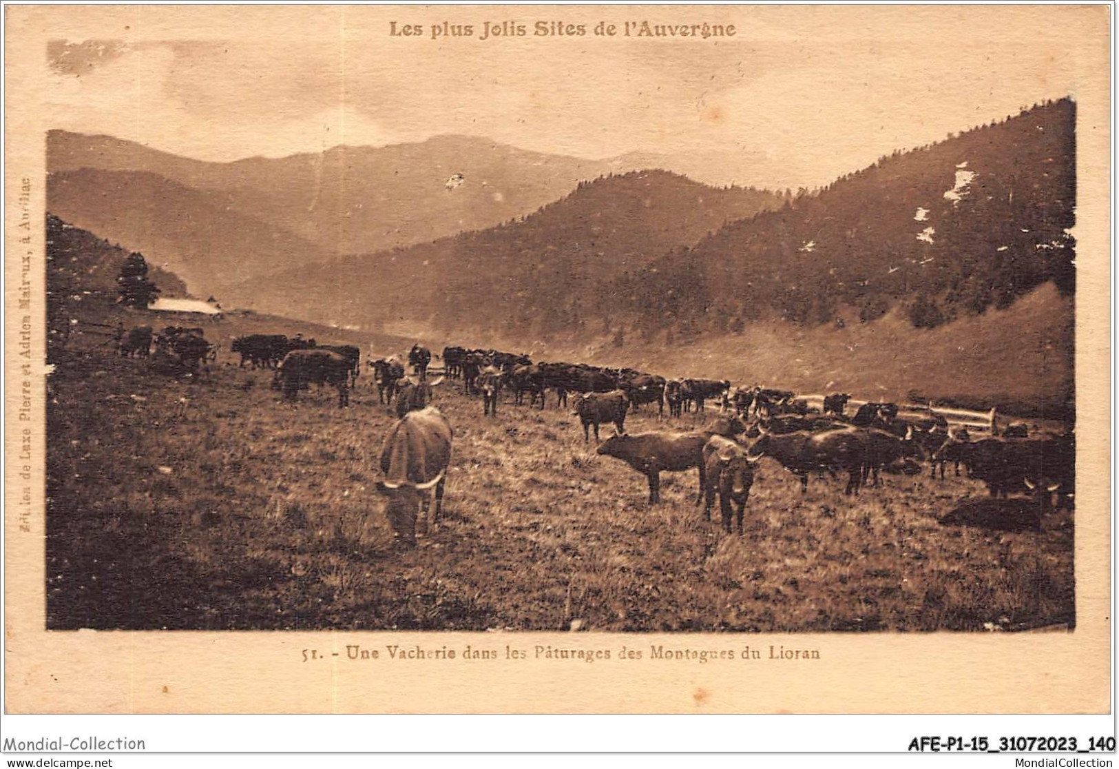 AFEP1-15-0071 - Les Plus Jolis Sites De L'auvergne - Une Vacherie Dans Les Pâturage Des Montagnes Du Lioran  - Sonstige & Ohne Zuordnung