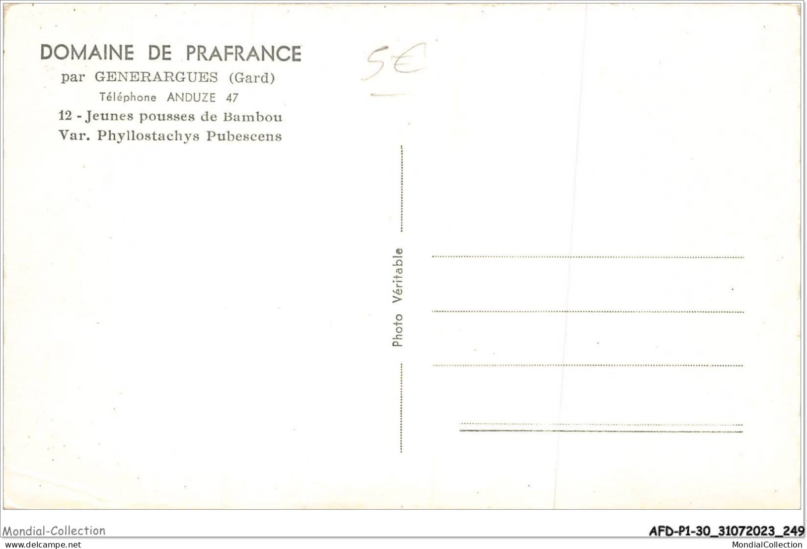 AFDP1-30-0125 - GENERARGUES - Jeunes Pousses De Bambou - Alès