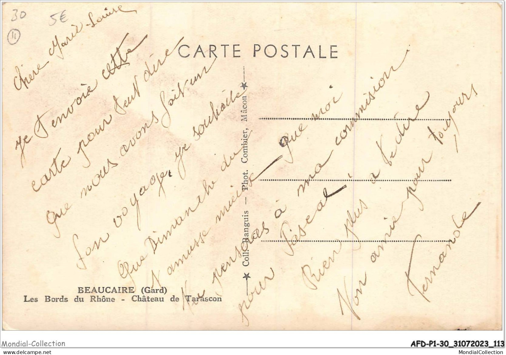 AFDP1-30-0057 - BEAUCAIRE - Les Bords Du Rhône - Château De Tarascon - Beaucaire