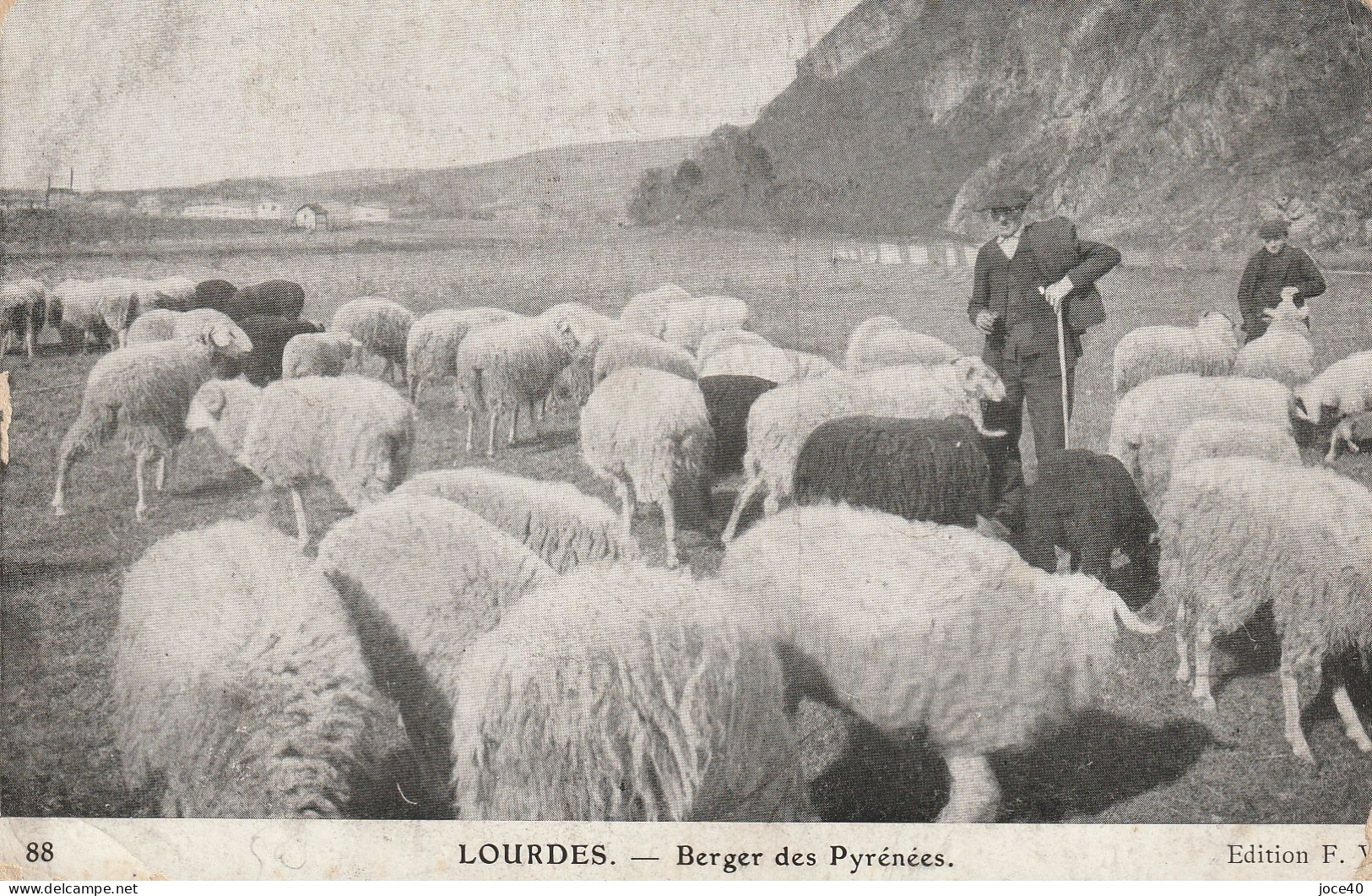 LOURDES - Berger Des Pyrénées - Moutons Blancs Et Moutons Noirs - Autres & Non Classés