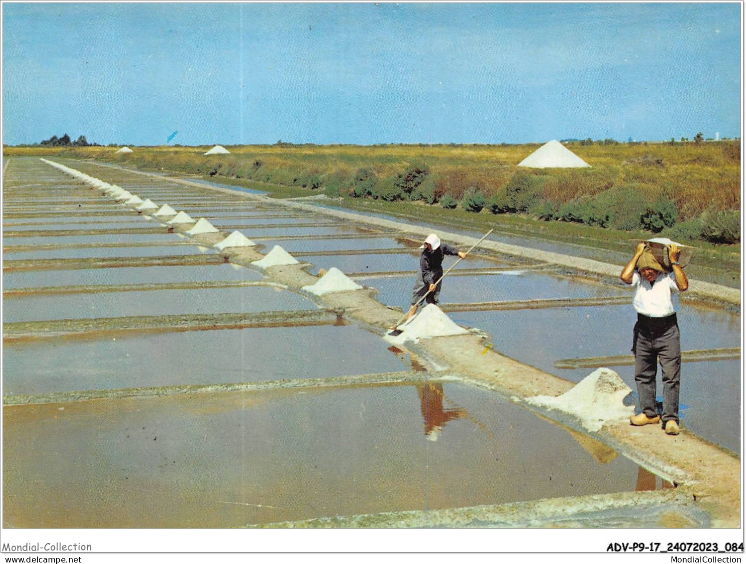 ADVP9-17-0732 - ILE DE RE - Char-mar -17 - Couple De Paysans Dans Les Marais Salants - La Récolte Du Sel  - Ile De Ré