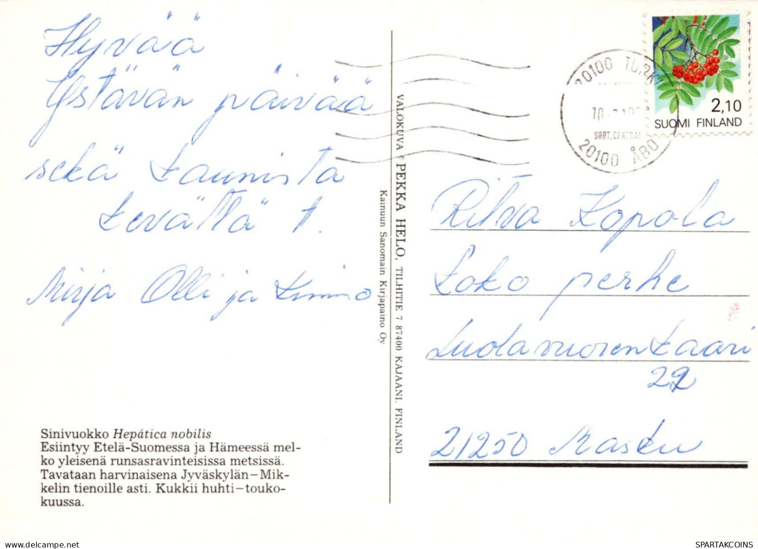 FLORES Vintage Tarjeta Postal CPSM #PAR394.ES - Fiori