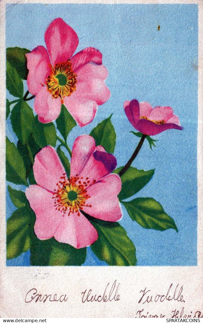 FLEURS Vintage Carte Postale CPSMPF #PKD746.FR - Fiori