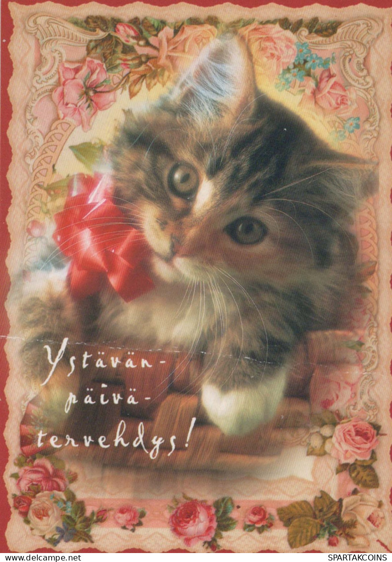 CHAT CHAT Animaux Vintage Carte Postale CPSM #PBQ921.FR - Katzen
