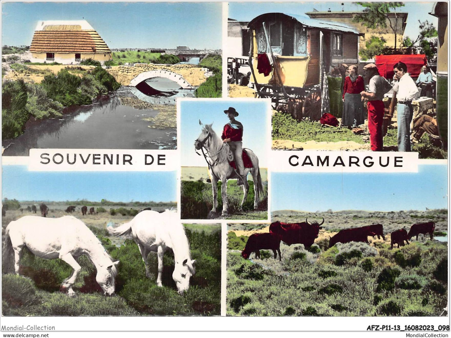 AFZP11-13-0878 - Souvenir De CAMARGUE - B-du-RH - Arles