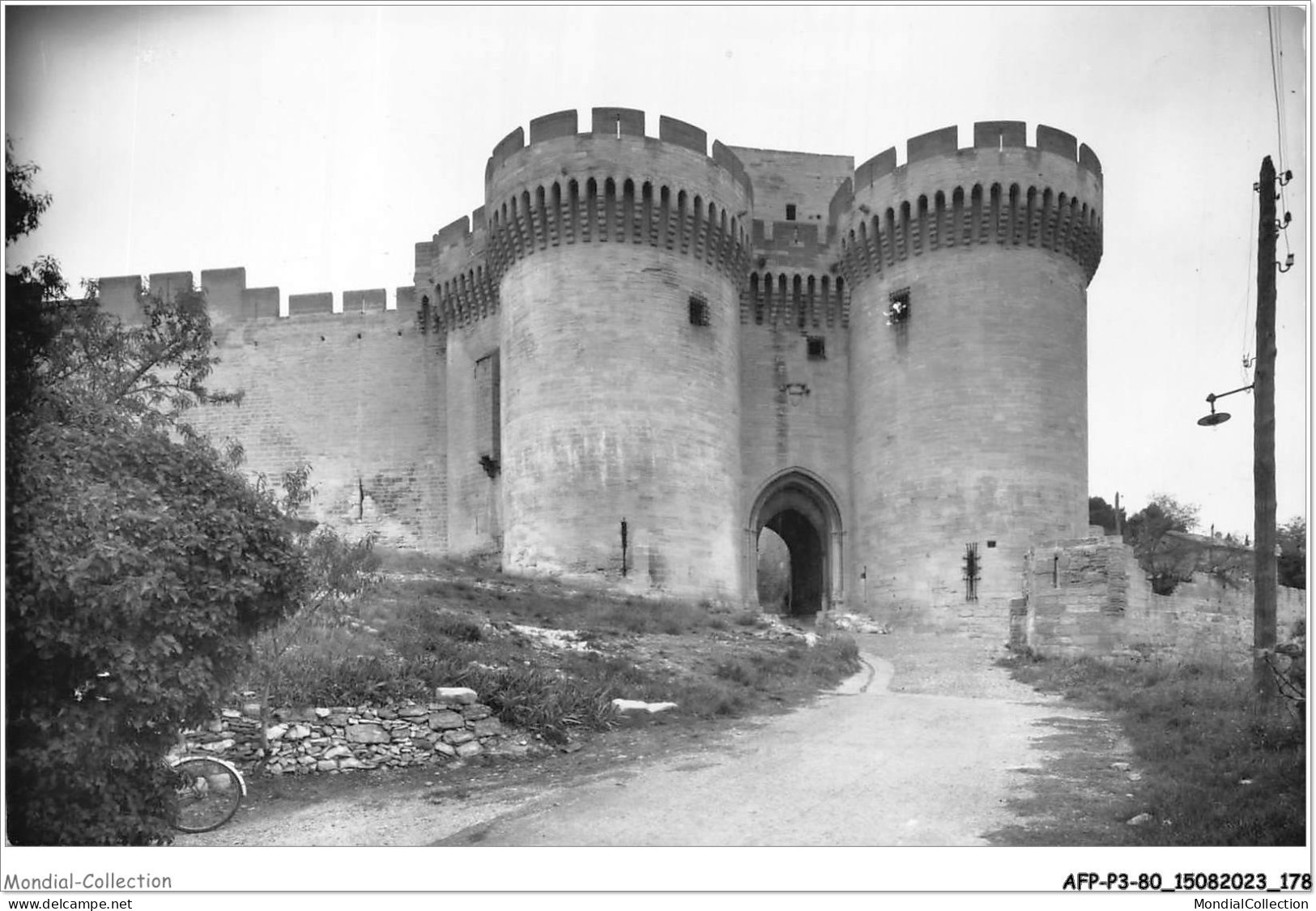 AFPP3-30-0294 - VILLENEUVE-LES-AVIGNON - Fort ST-ANDRE - Villeneuve-lès-Avignon