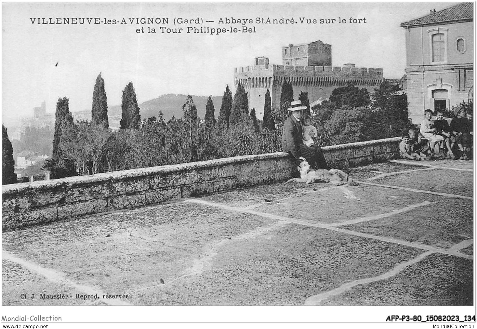 AFPP3-30-0272 - VILLENEUVE-LES-AVIGNON - Abbaye ST-Andre - Vue Sur Le Fort Et La Tour Philippe-le-bel - Villeneuve-lès-Avignon