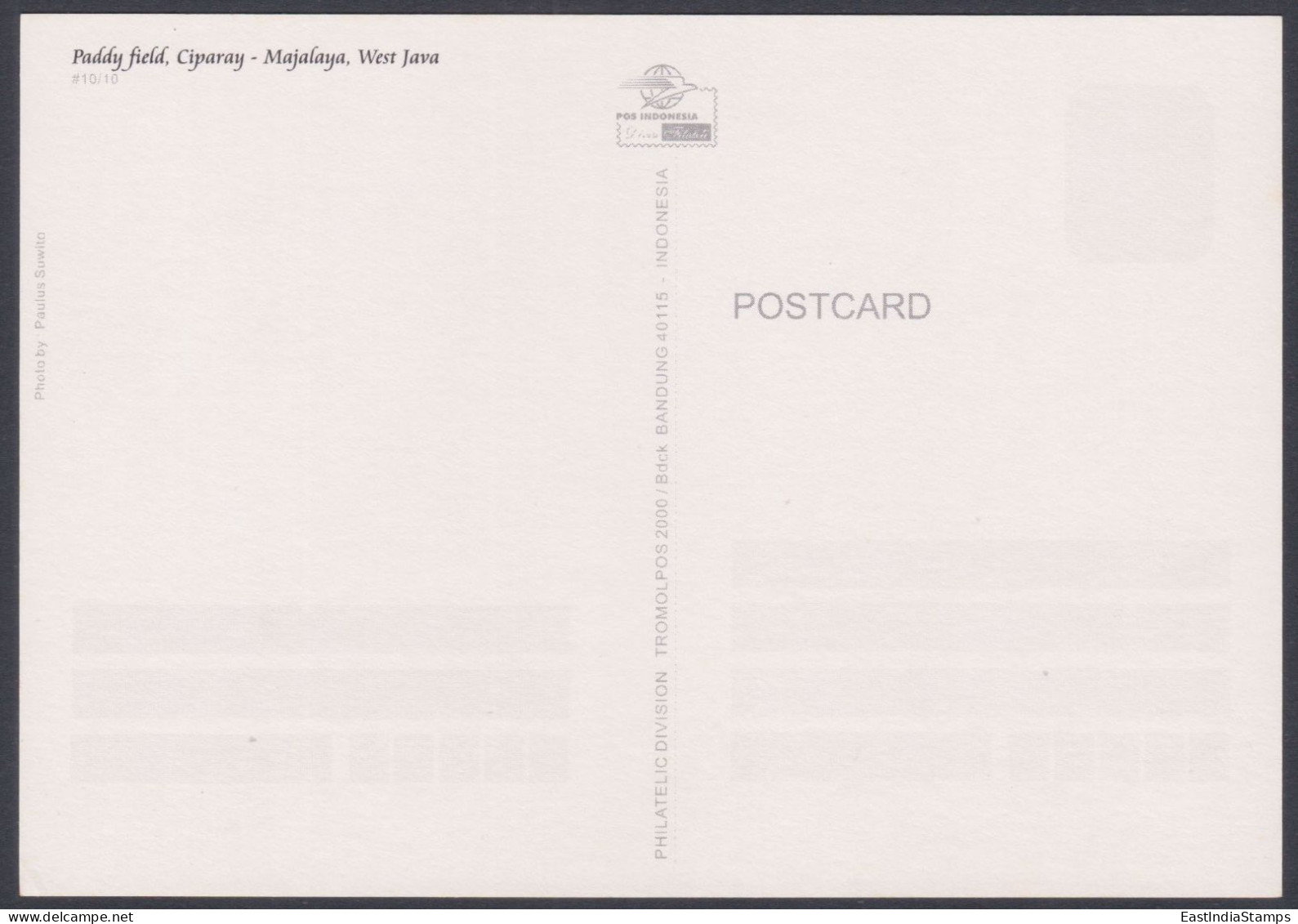 Indonesia 2000 Mint Postcard Paddy Field, Ciparay, Majalaya, West Java, Rice, Agriculture, Farm, Farming, Hill, Mountain - Indonesia