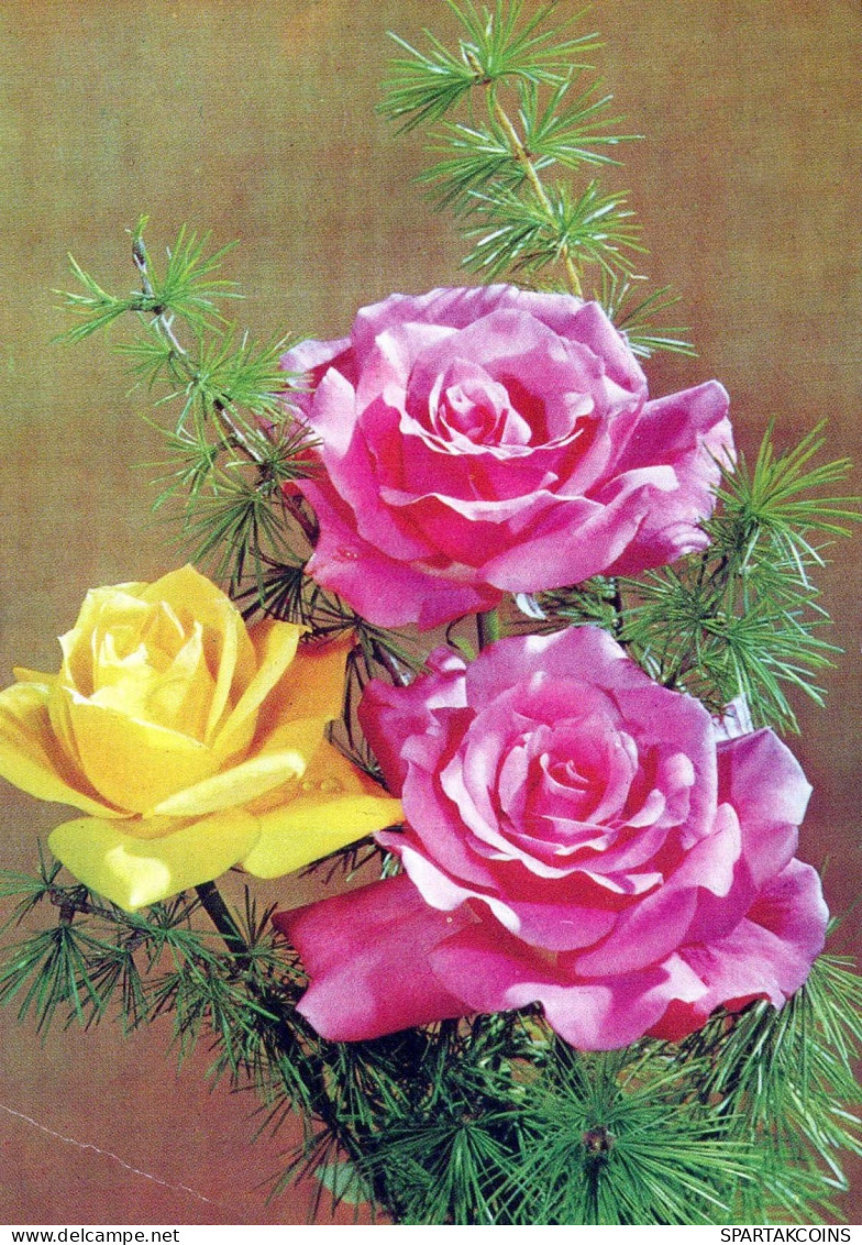 FLOWERS Vintage Ansichtskarte Postkarte CPSM #PAR996.DE - Bloemen