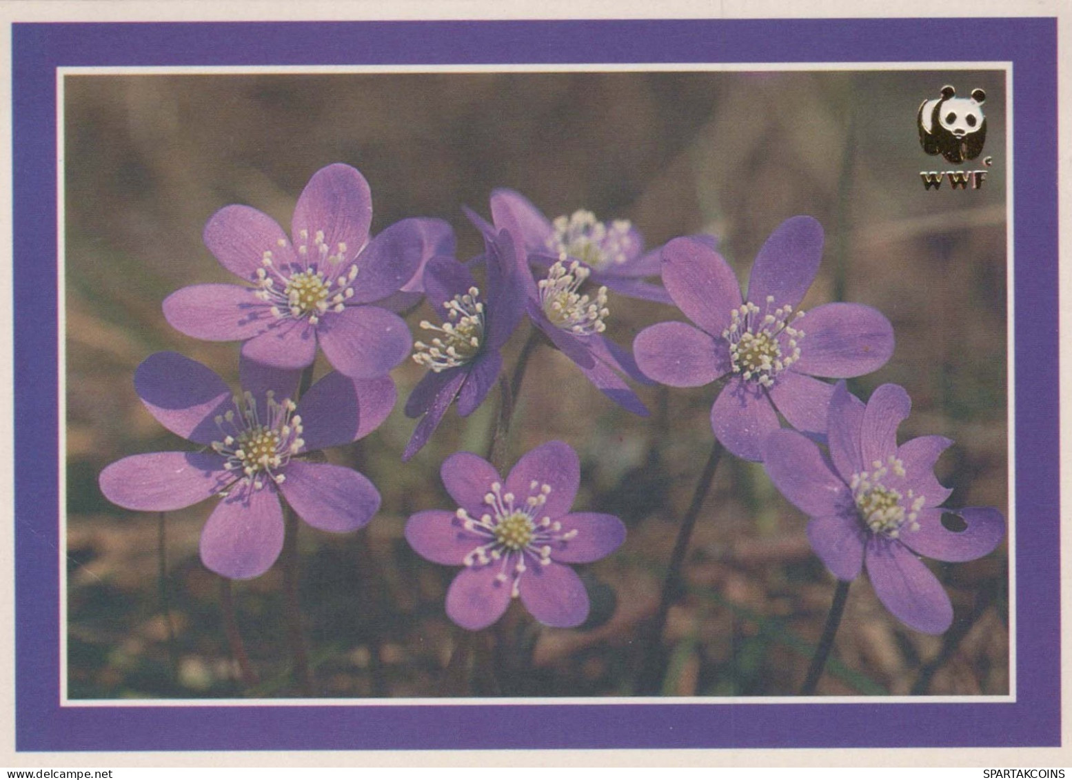 FLOWERS Vintage Ansichtskarte Postkarte CPSM #PAR396.DE - Fiori