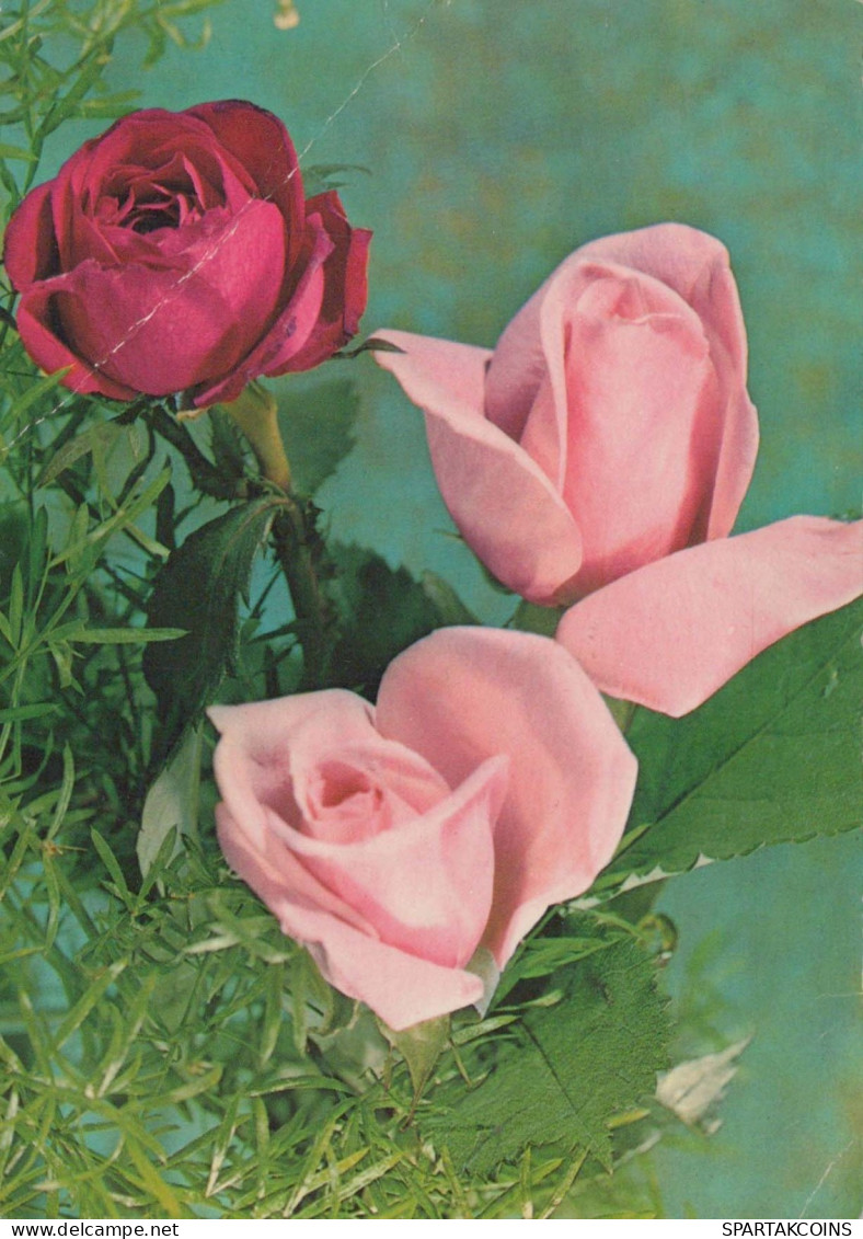 FLORES Vintage Tarjeta Postal CPSM #PBZ342.ES - Flowers