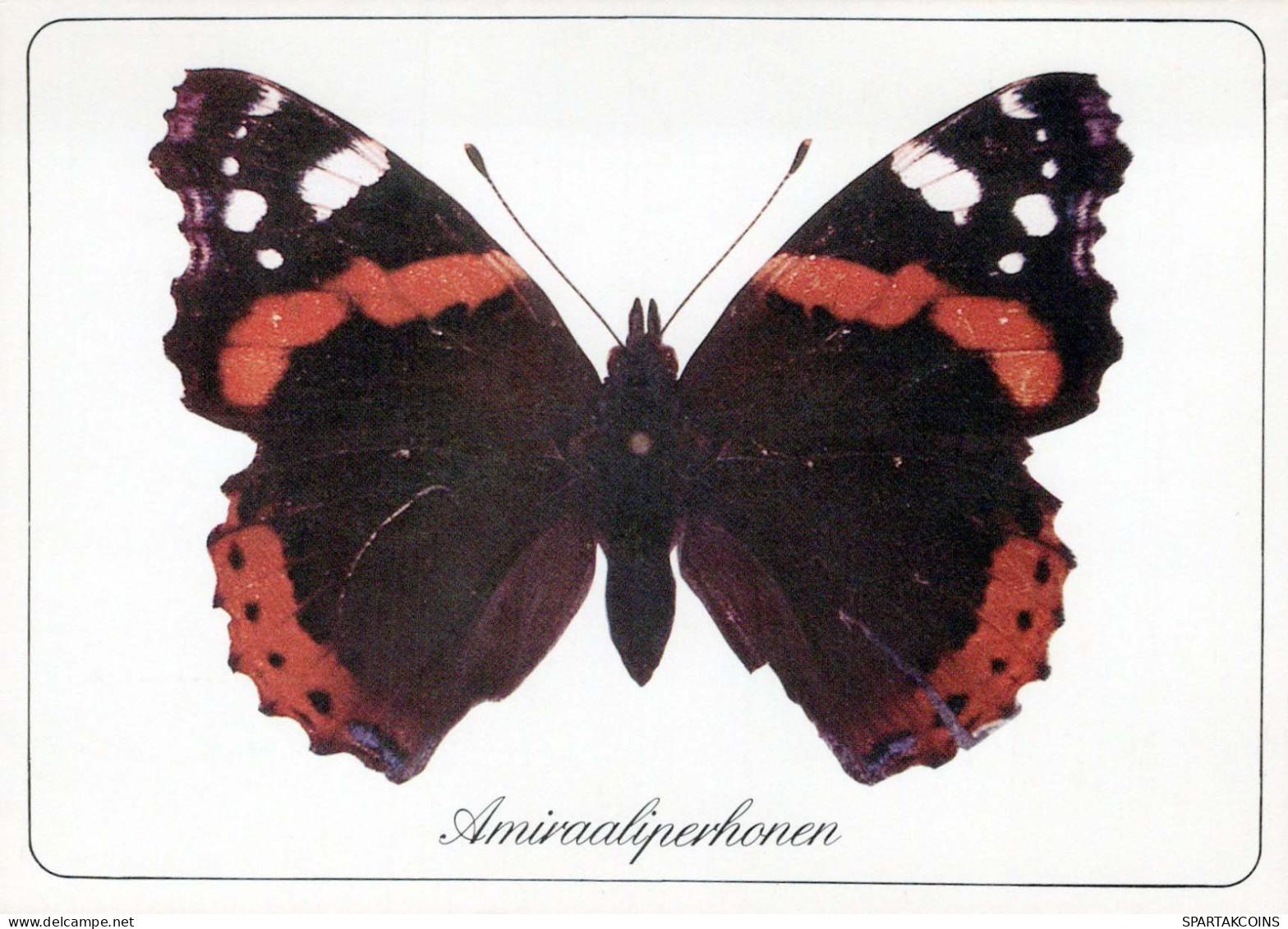 MARIPOSAS Animales Vintage Tarjeta Postal CPSM #PBS430.ES - Butterflies