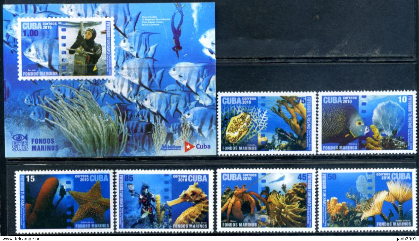 Cuba 2010 / Fish Sea Life MNH Fauna Marina Peces Fische Meerestiere / Hi02  1-51 - Maritiem Leven