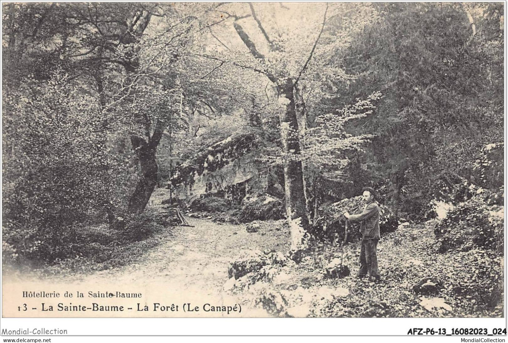 AFZP6-13-0444 - LA SAINTE-BAUME - La Forêt - Le Canapé - Autres & Non Classés