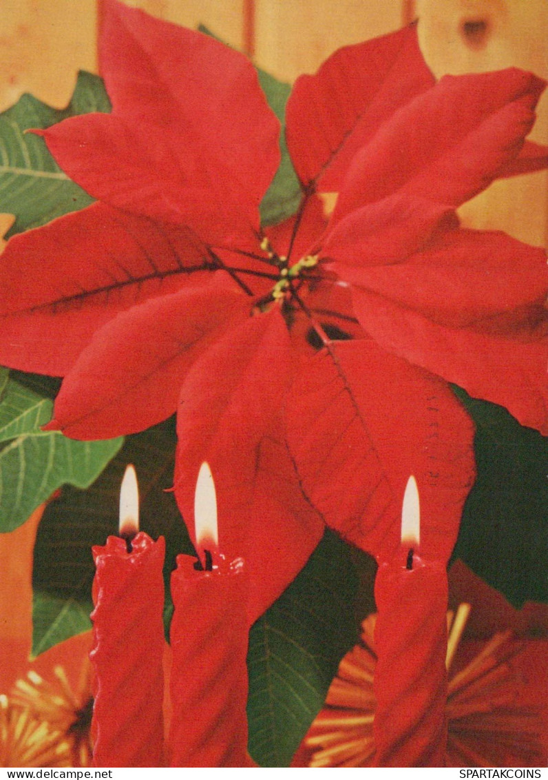 Buon Anno Natale CANDELA Vintage Cartolina CPSM #PAW322.IT - Neujahr