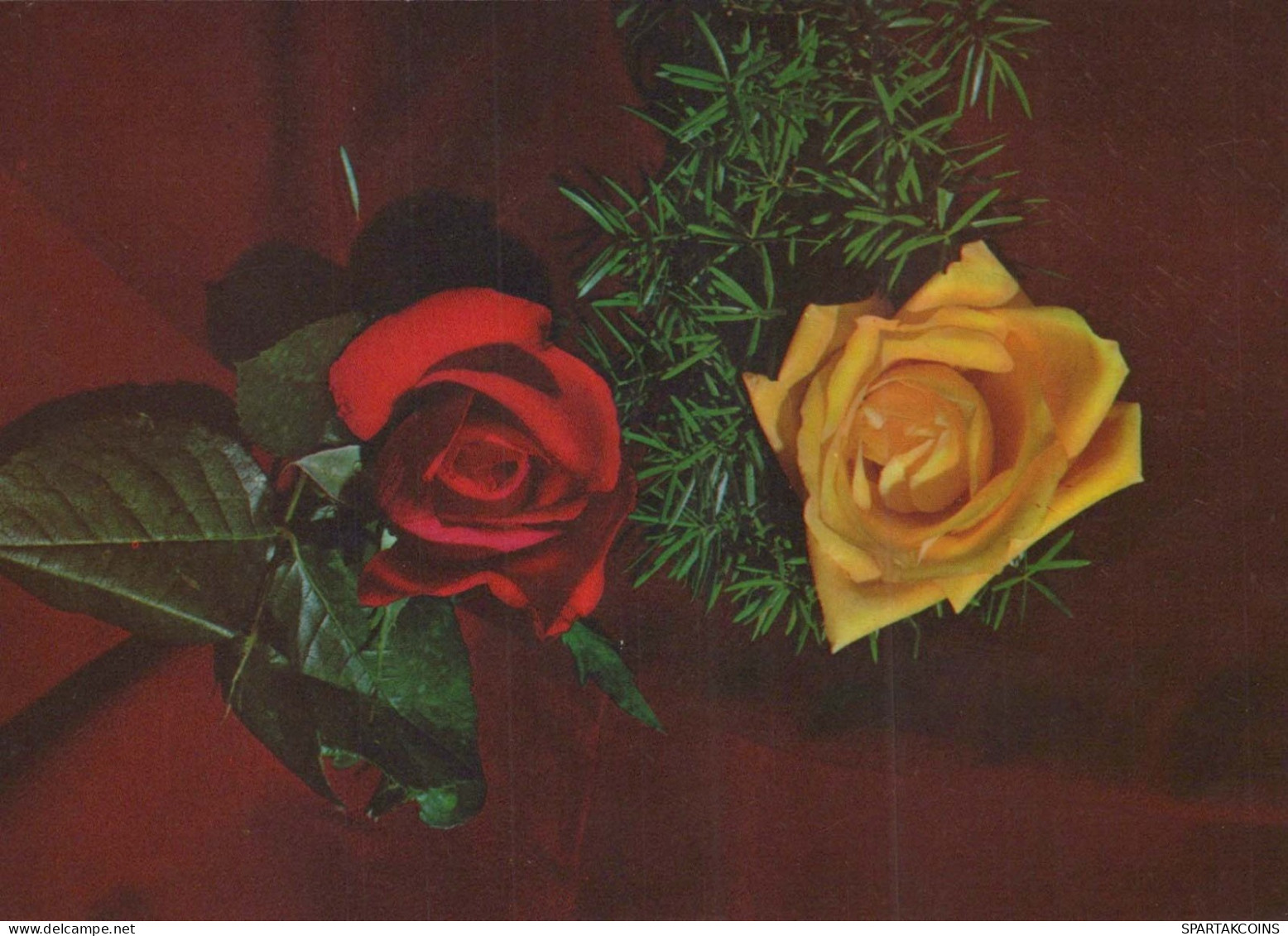 FIORI Vintage Cartolina CPSM #PAS178.IT - Flowers