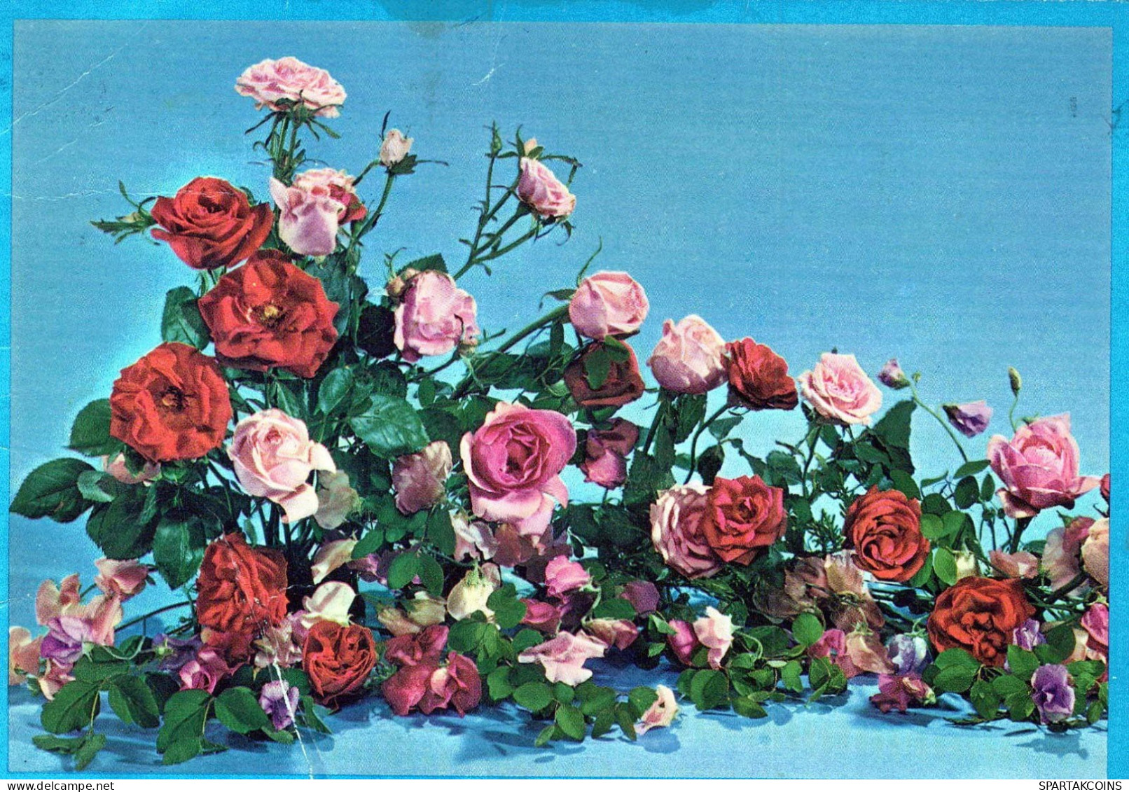 FIORI Vintage Cartolina CPSM #PAR757.IT - Flowers
