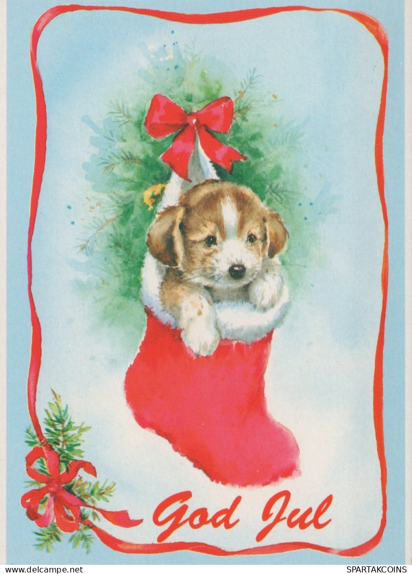 CANE Animale Vintage Cartolina CPSM #PAN511.IT - Chiens