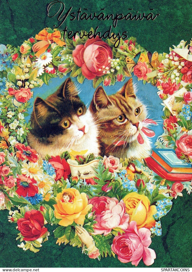 GATTO KITTY Animale Vintage Cartolina CPSM #PAM573.IT - Chats
