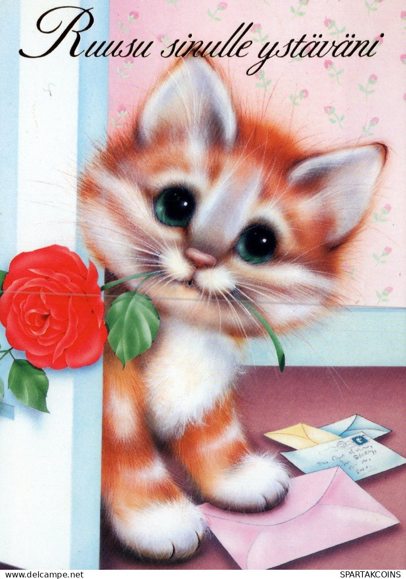GATTO KITTY Animale Vintage Cartolina CPSM #PAM199.IT - Chats