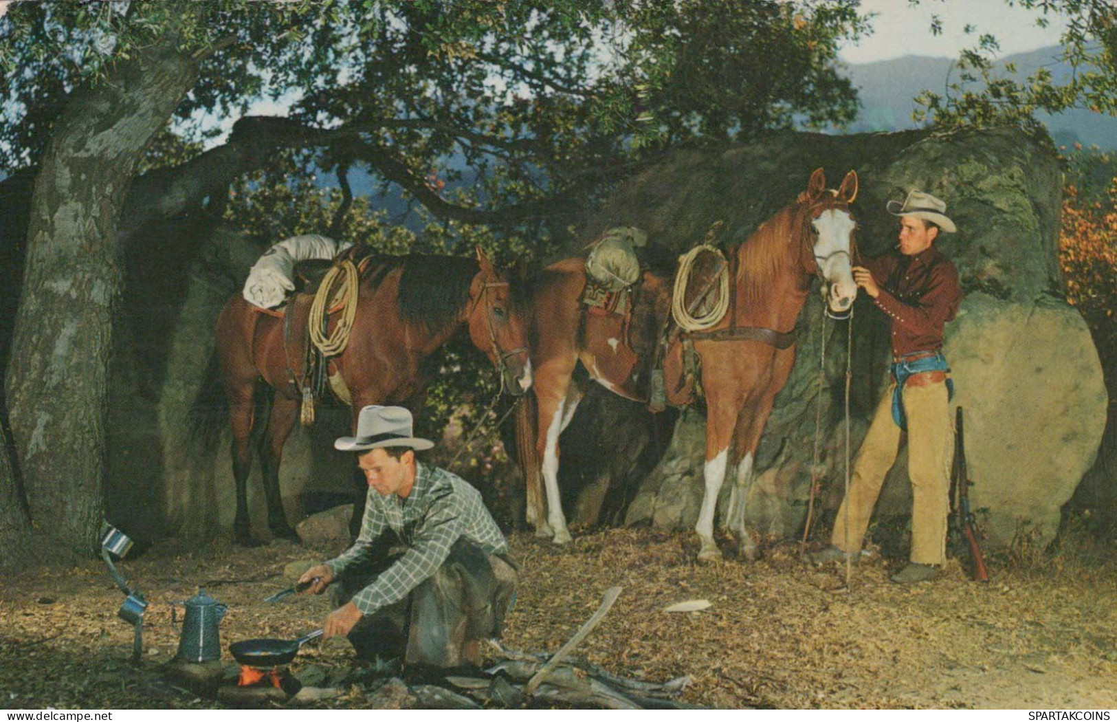 PFERD Vintage Ansichtskarte Postkarte CPSMPF #PKG934.DE - Caballos