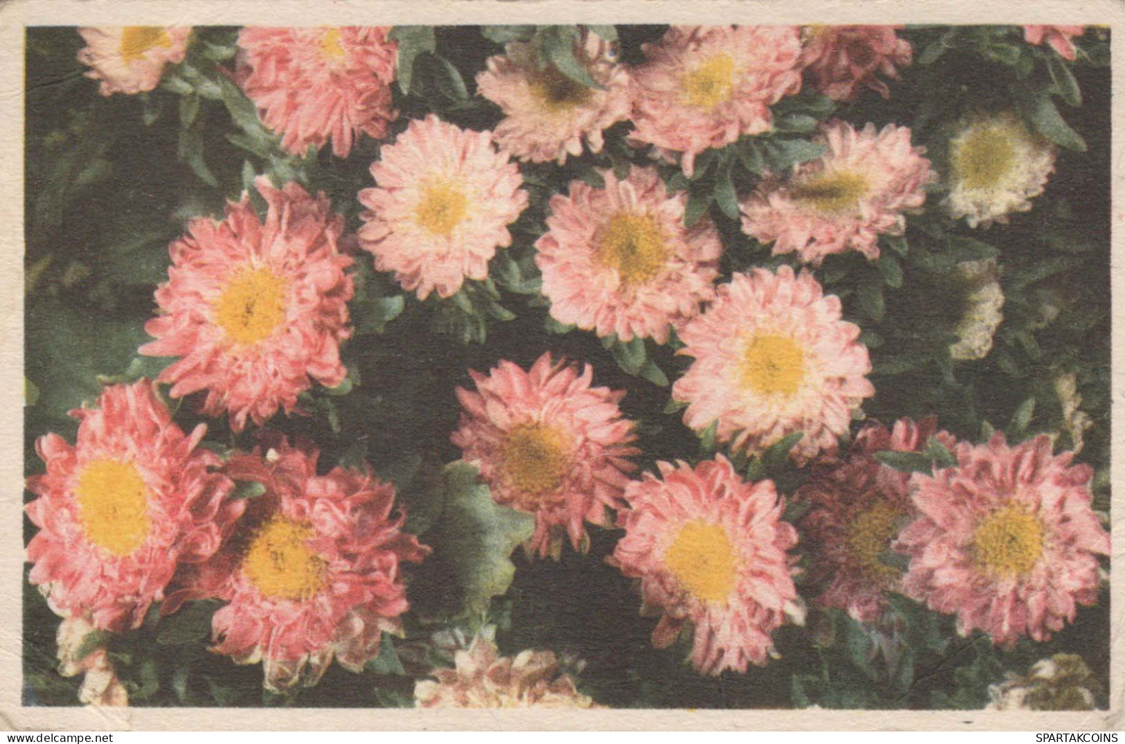 FLOWERS Vintage Ansichtskarte Postkarte CPA #PKE700.DE - Fleurs