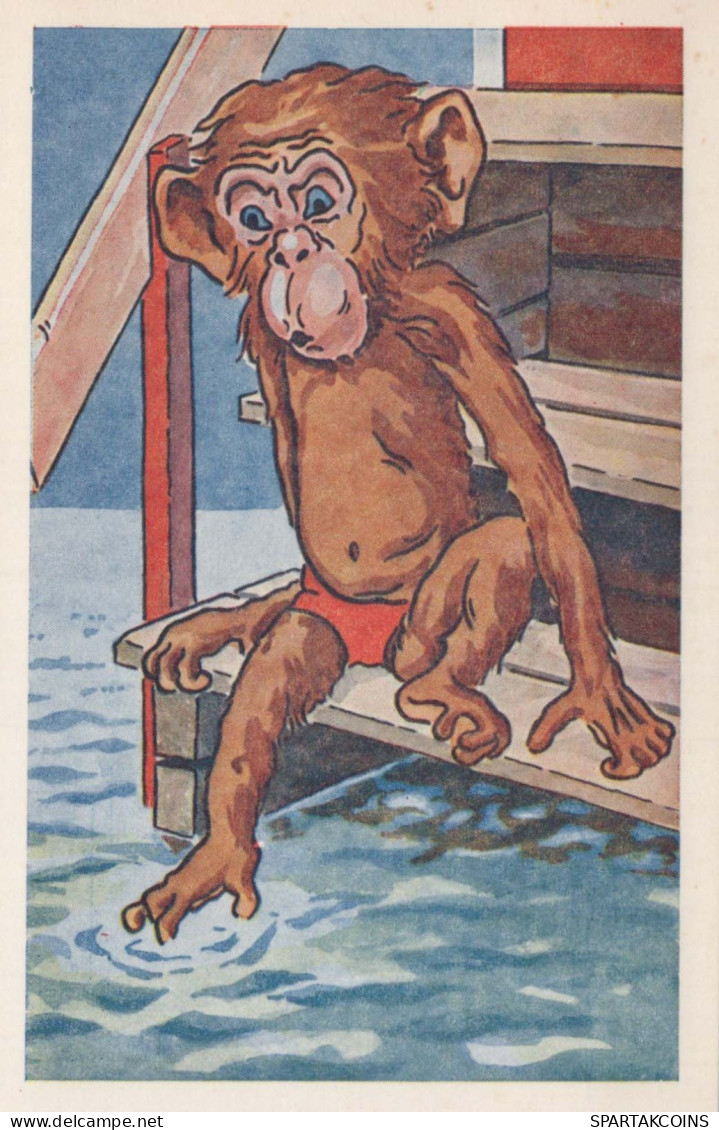 AFFE Tier Vintage Ansichtskarte Postkarte CPA #PKE765.DE - Singes