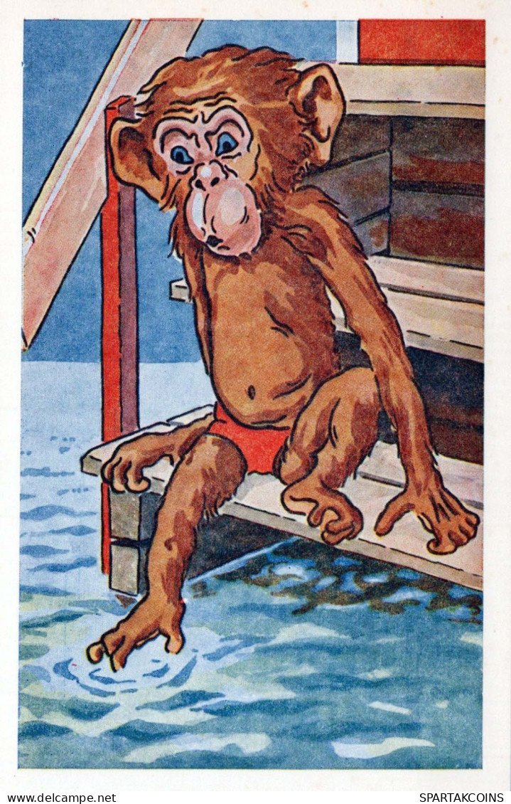 AFFE Tier Vintage Ansichtskarte Postkarte CPA #PKE765.DE - Affen